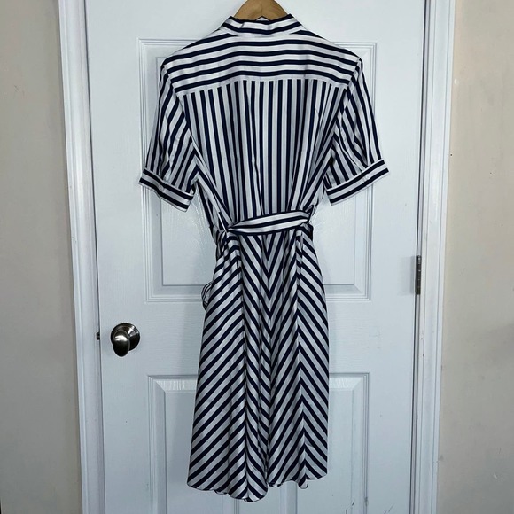 Lilly Silk Amalfi Stripe Silk Shirtdress with Belt and Pockets! - Picture 3 of 10